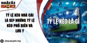 Tỷ Lệ Kèo Nhà Cái Là Gì? Những Tỷ Lệ Kèo Phổ Biến Và Lưu Ý